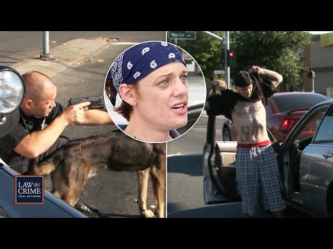 11 Wildest Police Moments Caught on Camera (COPS)