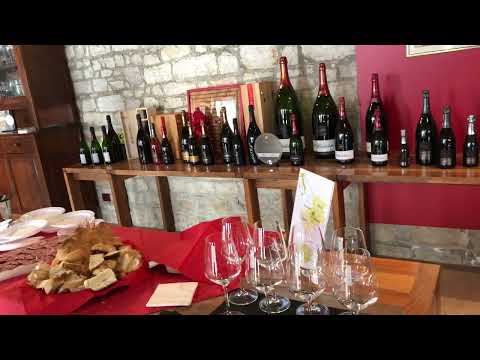 Prosecco Road Tour | Italy 2022 | Daniel Ly