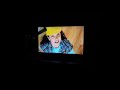 Opening Closing Of Dino Dan Dino Party DVD From 2010