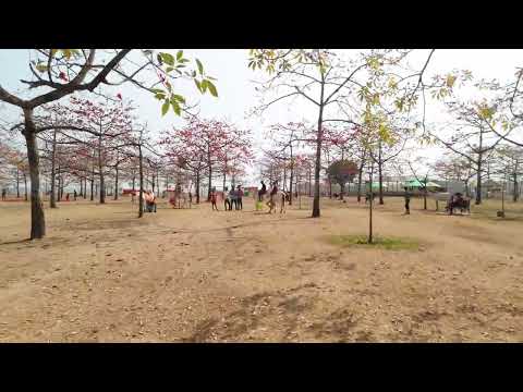 Springtime in Shimul Garden, Sunamganj