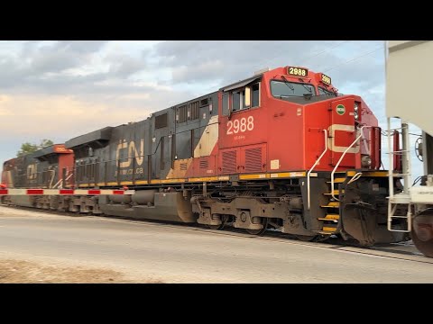 CN 438 east approaching Chatham. 9-20-2023