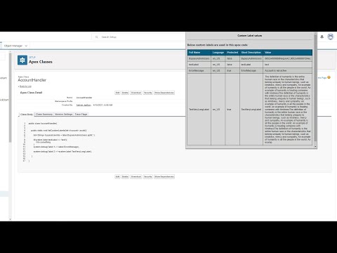Item video thumbnail