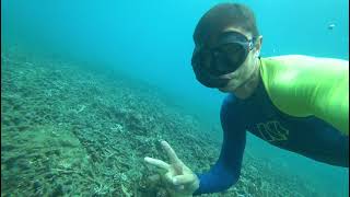 Snorkeling Koh Tao with Eriс exodus-group.com