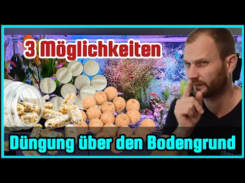 Düngekapseln für deine Aquariumpflanzen | Pflanzen im Aquarium über den Bodengrund Dünger zuführen