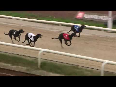 2021 ARC DUAL DISTANCE FINAL - T3 COLD AS ICE