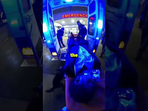 Dog Saves Man From Death in Coffin #heroicdog #rescue