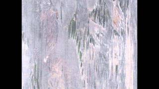 The Infant Cycle - Radio Flower