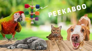 Petzone | For Pets Who Love To Shop
