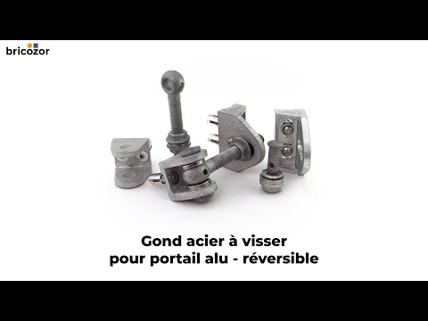 Gond acier à visser - pour portail alu - réversible LOCINOX