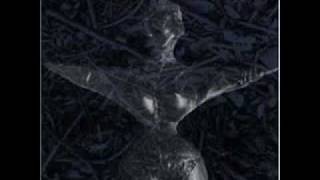 the Fair Sex- in the desert