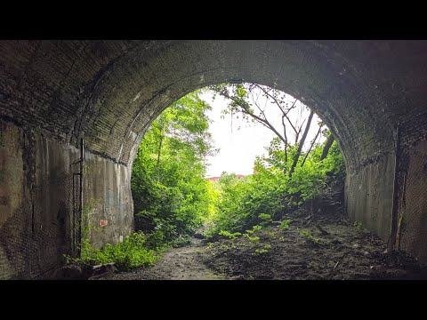 youtube embeded image