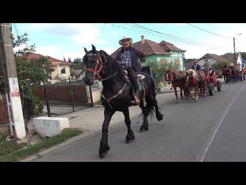 Parada cailor de la Tasnad, Satu Mare 18 Sept 2021