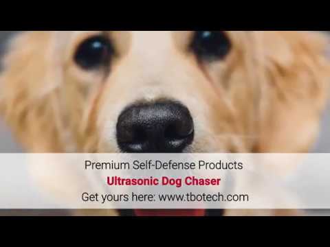 Ultrasonic Dog Chaser