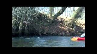 preview picture of video 'Yadkin River Kayak Nov. 26 2011'