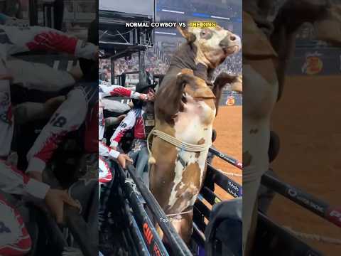 Normal cowboy vs the king 👑🤠