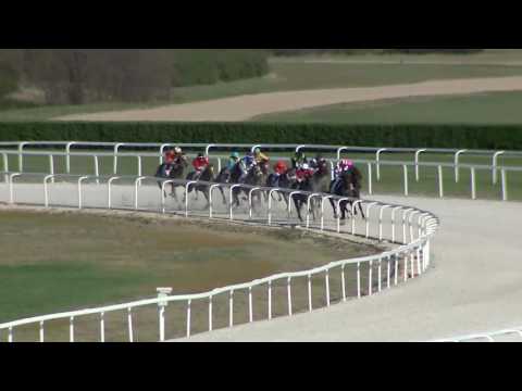 2017.04.02. 6. futam - PÉCELI HENDIKEP (V.o.) (szintetikus pálya)