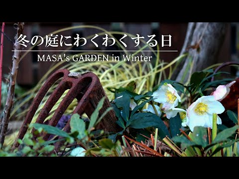 冬のテラスのアイデア トピックス