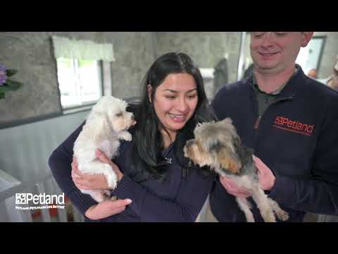 Kennel Tour 138