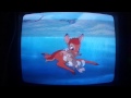 Bambi Bambi Goes Ice Skating