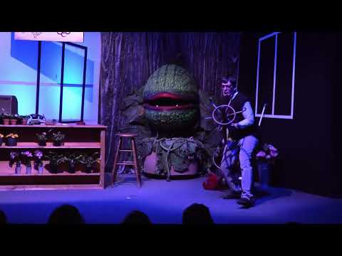 Uetersener Hagebuttenbühne - Der Kleine Horrorladen - Gib's mir - Performance Backstage