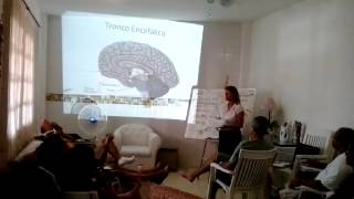 Aula de Psicofarmacologia com a Profa. Tânia, dia 17/01/2015