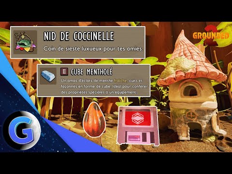 (TUTO) RÉCUPÉRER LA PUCE FÉÉRIQUE ! + LOCALISATION OEUFS COCCINELLES (GROUNDED 2)