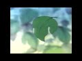 Princess Peach Princess Daisy S Adventures Of Disney S Sing Along Songs Part 9