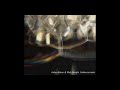 Aidan Baker & Matt Borghi – Undercurrents (2005 Ambient, Dark Ambient, Experimental, Minimal)