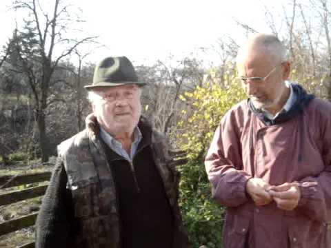 Nea Suciu din Petreştii de Sus