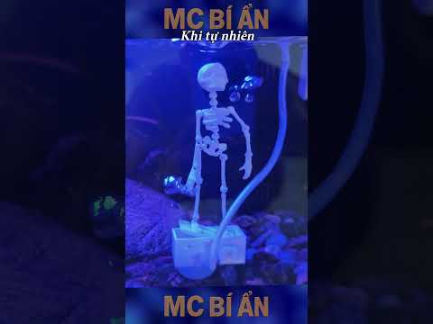 Hong Có Giống Ở Trái Đất | E482 #mcbian