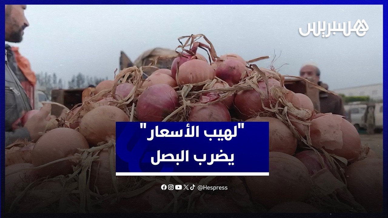"لهيب الأسعار" يضرب البصل والمستورد يفشل في إرضاء المستهلكين thumbnail
