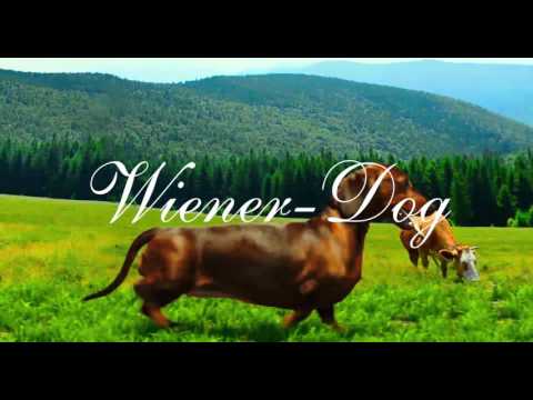 Eric William Morris/Marc Shaiman - The Ballad of Wiener-Dog (from the Wiener-Dog OST)
