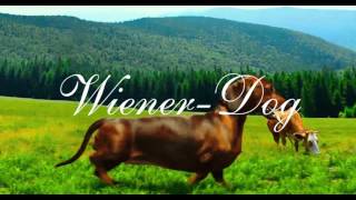 Eric William Morris/Marc Shaiman - The Ballad of Wiener-Dog (from the Wiener-Dog OST)