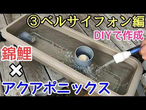 , title : 'アクアポニックスDIY③ベルサイフォン作成編'