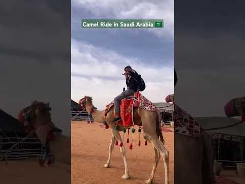 Camel ride Saudi Arabia 🇸🇦#travel #sauditravelvlog #vlog #viralvideo
