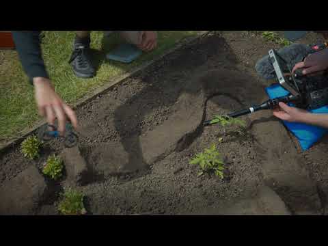 Magy Mini pirštų riedlentės ir paspirtukas (mini finger) video