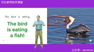 Heinemann Grade K - 58 Birds