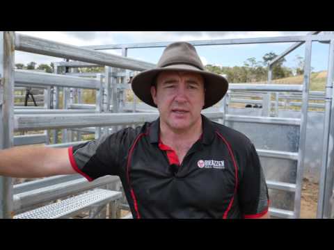 download lagu mp3 mp4 Cattle Handling Equipment Australia, download lagu Cattle Handling Equipment Australia gratis, unduh video klip Cattle Handling Equipment Australia