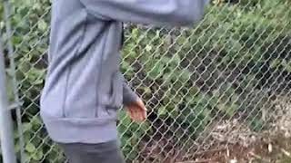 Longboarding down silver lake!! ☺☺☺😀