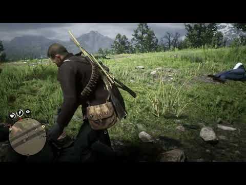 Red Dead Redemption 2 Helping Civilians Pt 41