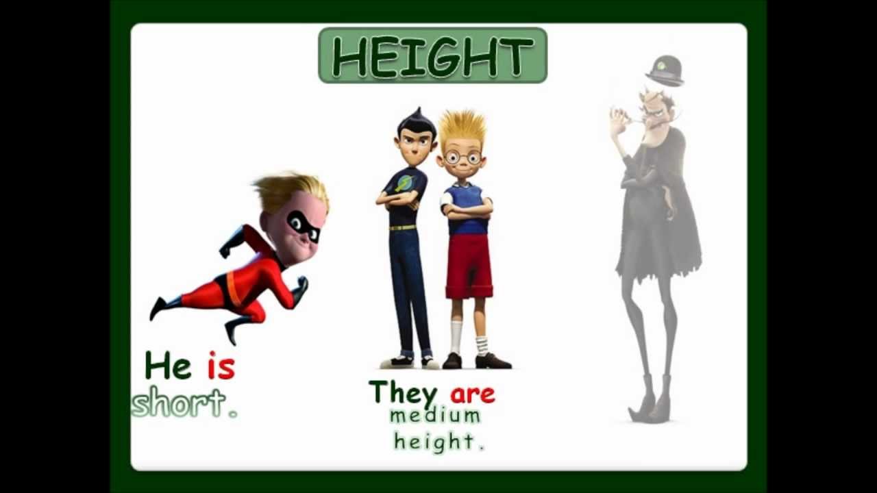 Physical Description Height And Weight With Sound