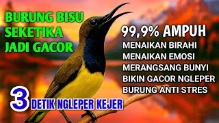 Download lagu 3Detik ngleper kejer‼️ Pancingan sogon agar emosi bunyi gacor mp3