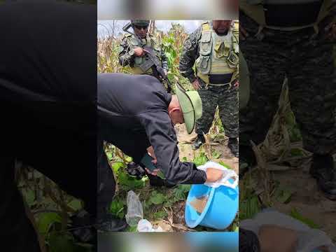 San Martín: ¡PNP neutraliza mineros ilegales que destruían nuestros recursos naturales!