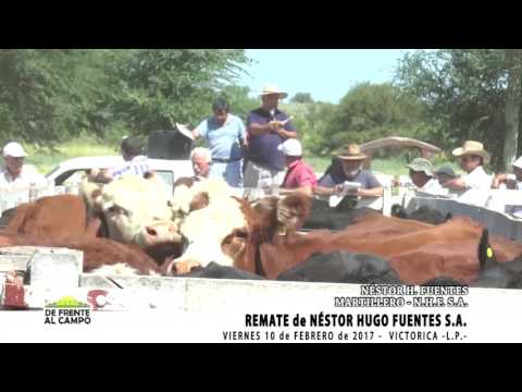 DE FRENTE AL CAMPO junto a NÉSTOR HUGO FUENTES S.A. -VICTORICA L.P.-