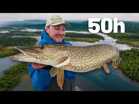50 Stunden, um den GRÖSSTEN Hecht zu fangen 🏆 (Köder vs. Fliegenfischen)