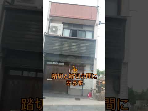 【京都市伏見区】ペーパードライバー教習中！ #自動車学校 #ペーパドライバー講習 #京都  #運転塾 #ペーパードライバー教習京都 #shorts