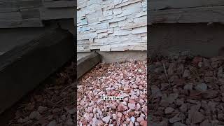 This is why water is seeping into your basement 💧🏠#basement #water