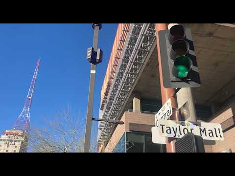 Interview with Natalie Thai