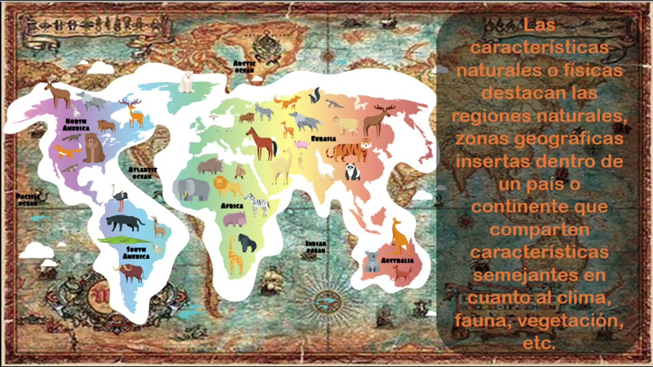 Delimitación de los continentes a partir de criterios físicos, culturales y políticos.