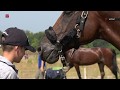 Eventing Emmeloord gaat door met aanpassingen